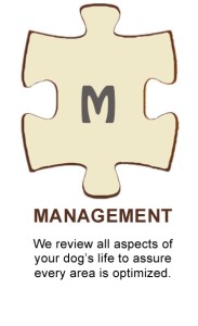 Puzzle-Management