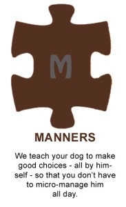 Puzzle-Manners