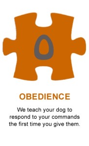 Puzzle-Obedience